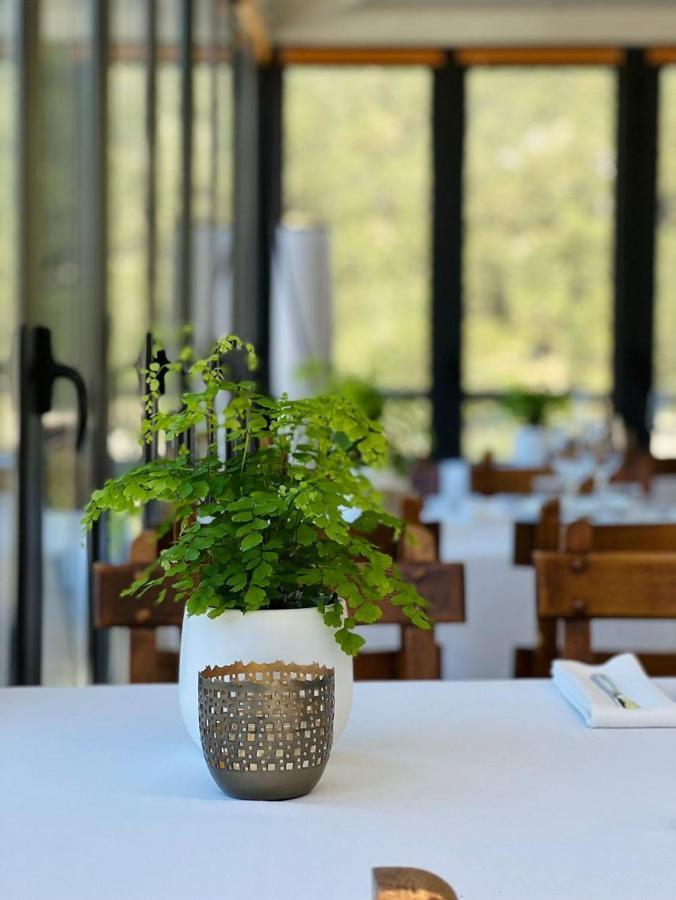 Corzo Hotel Серседілья Екстер'єр фото